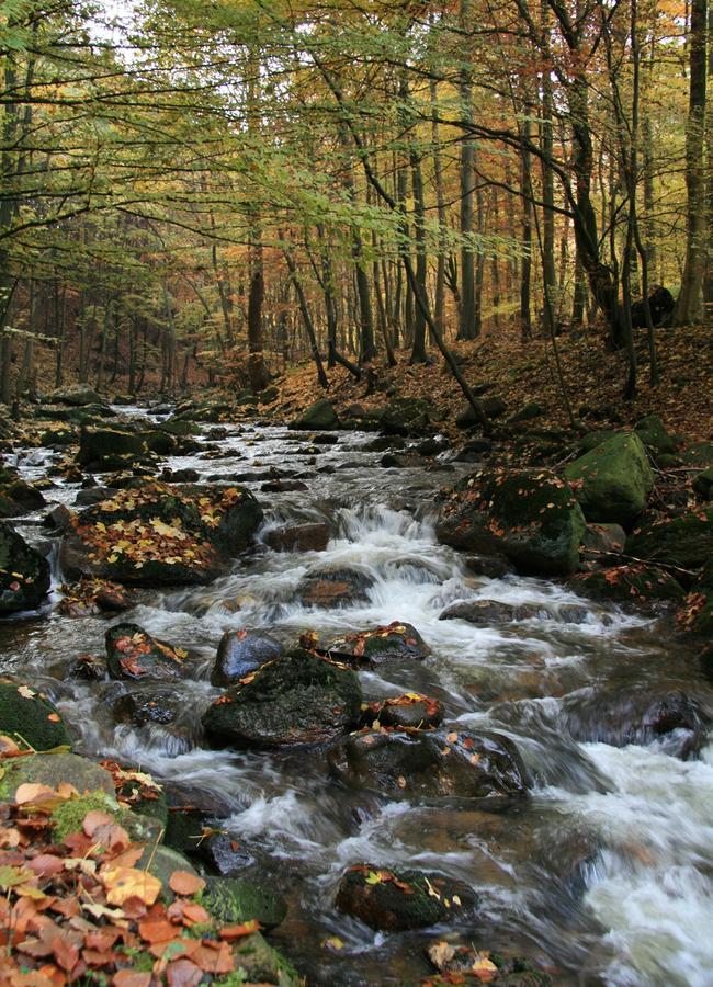 Wanderlust Lägenhet Ilsenburg Exteriör bild